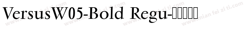 VersusW05-Bold Regu字体转换